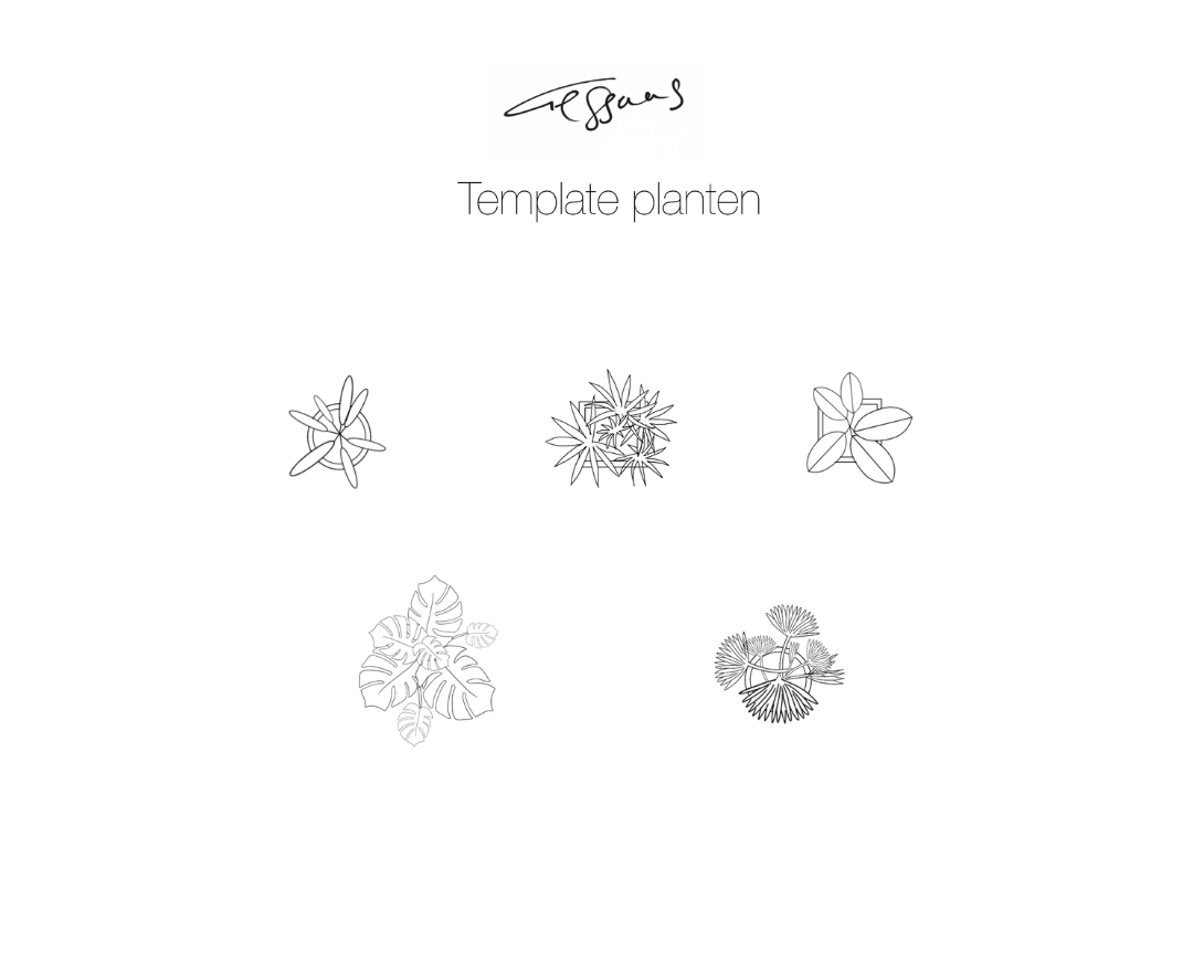 Planten (1) Perspectief tekenen op de iPad